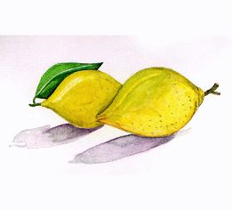 λεμόνι