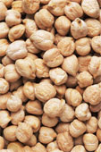 Picture of 'ρεβίθι, τό (chick pea)'